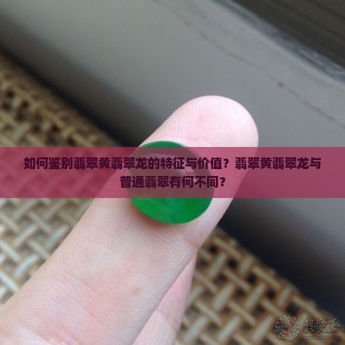如何鉴别翡翠黄翡翠龙的特征与价值？翡翠黄翡翠龙与普通翡翠有何不同？
