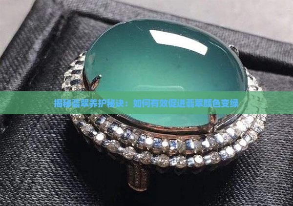 揭秘翡翠养护秘诀：如何有效促进翡翠颜色变绿