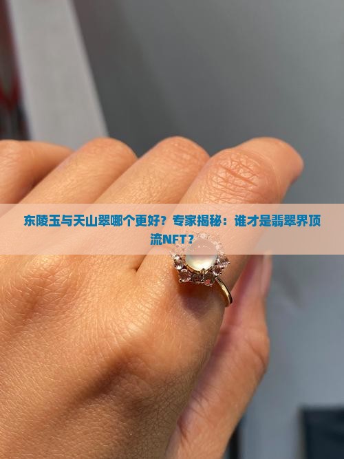 东陵玉与天山翠哪个更好？专家揭秘：谁才是翡翠界顶流NFT？