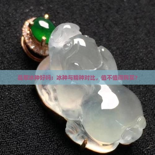 翡翠冰种好吗:冰种与糯种对比,值不值得购买? 翡翠冰种好吗:冰种与糯种对比,值不值得购买?