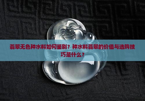 翡翠无色种水料如何鉴别？种水料翡翠的价值与选购技巧是什么？