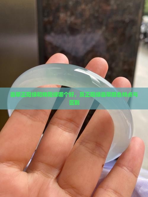 翡翠正阳绿和辣阳绿哪个好，及正阳绿翡翠颜色特点与区别