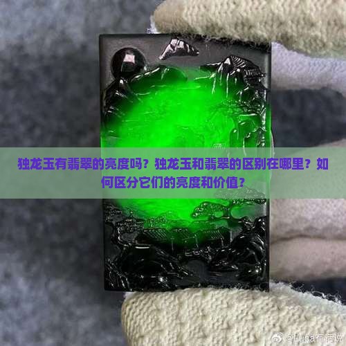 独龙玉有翡翠的亮度吗？独龙玉和翡翠的区别在哪里？如何区分它们的亮度和价值？