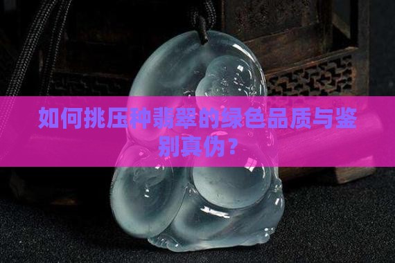 如何挑压种翡翠的绿色品质与鉴别真伪？