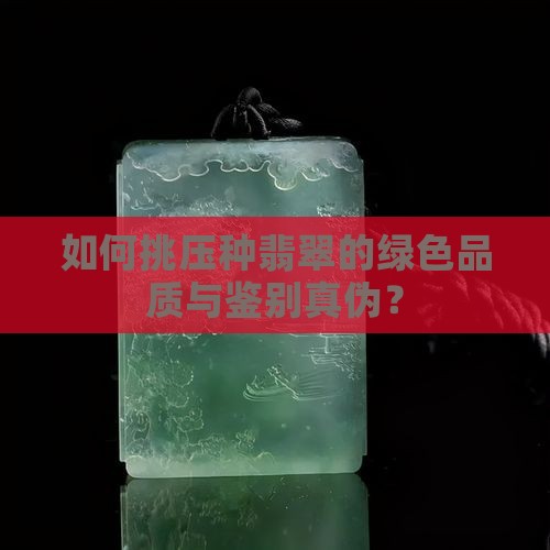 如何挑压种翡翠的绿色品质与鉴别真伪？