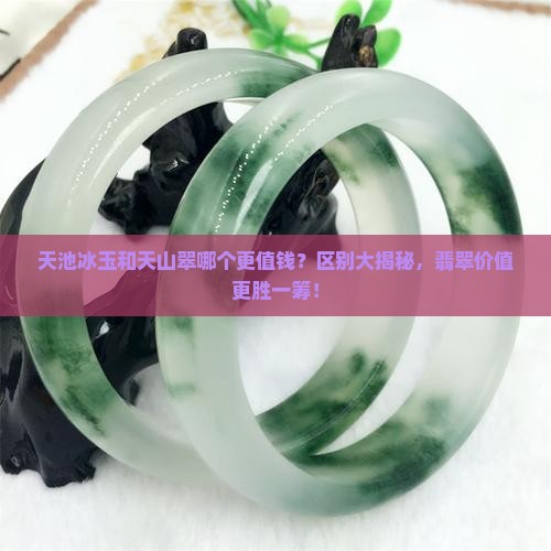 天池冰玉和天山翠哪个更值钱？区别大揭秘，翡翠价值更胜一筹！