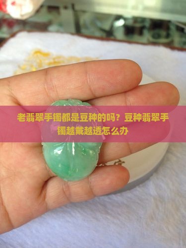 老翡翠手镯都是豆种的吗？豆种翡翠手镯越戴越透怎么办