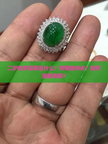 二驴的多翡翠是什么？有哪些特点？如何鉴别真假？