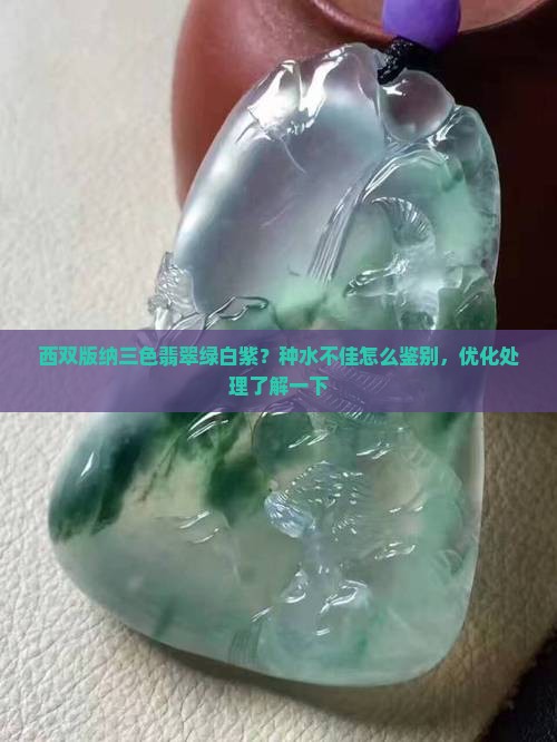 西双版纳三色翡翠绿白紫？种水不佳怎么鉴别，优化处理了解一下