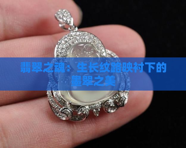 翡翠之魂：生长纹路映衬下的墨翠之美