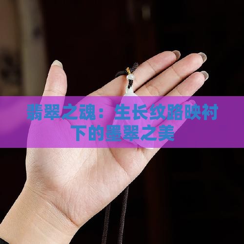 翡翠之魂：生长纹路映衬下的墨翠之美