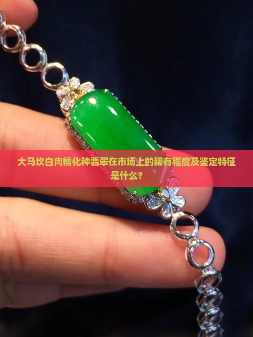 大马坎白肉糯化种翡翠在市场上的稀有程度及鉴定特征是什么？