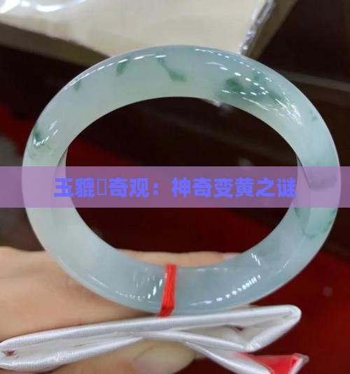 玉貔恘奇观：神奇变黄之谜