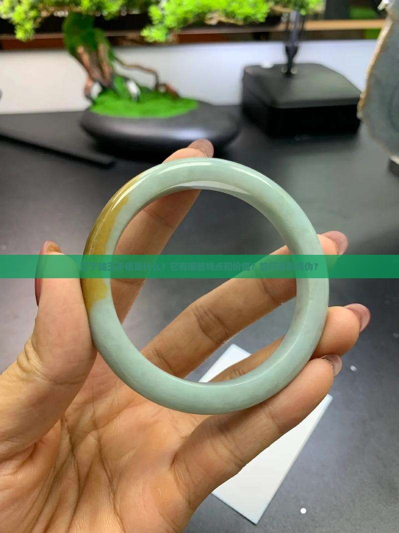 辽宁轴玉手镯是什么？它有哪些特点和价值？如何鉴别真伪？