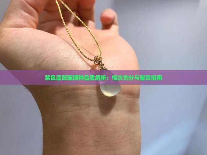 紫色翡翠玻璃种品质解析：档次划分与鉴赏指南