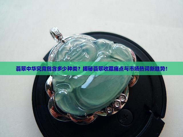 翡翠中华究竟包含多少种类？揭秘翡翠收藏痛点与市场热词新趋势！