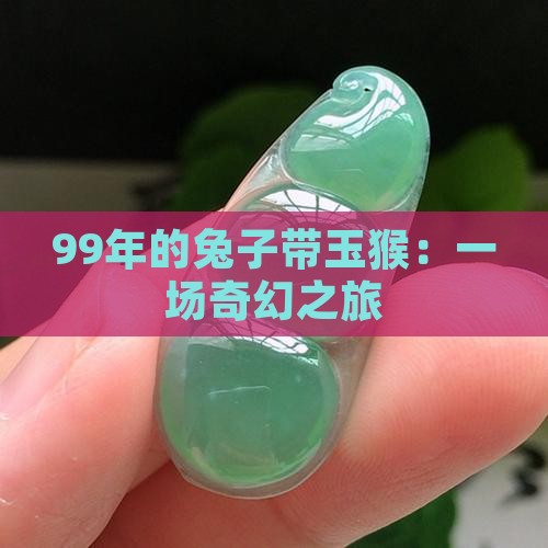 99年的兔子带玉猴：一场奇幻之旅