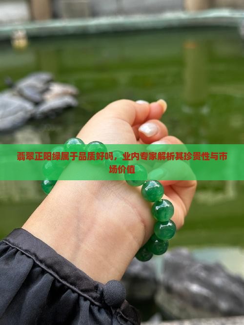 翡翠正阳绿属于品质好吗,业内专家解析其珍贵性与市场价值 翡翠正阳绿属于品质好吗,业内专家解析其珍贵性与市场价值