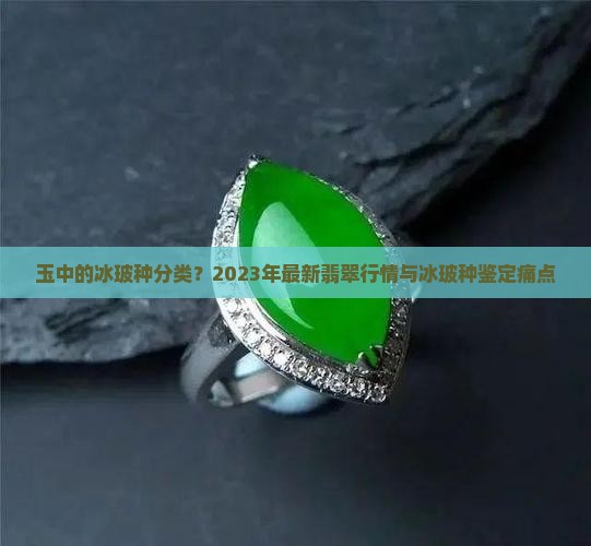 玉中的冰玻种分类？2023年最新翡翠行情与冰玻种鉴定痛点