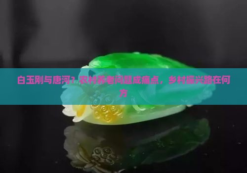 白玉刚与唐河？农村养老问题成痛点，乡村振兴路在何方