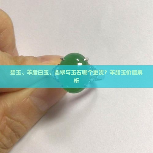 碧玉、羊脂白玉、翡翠与玉石哪个更贵？羊脂玉价值解析