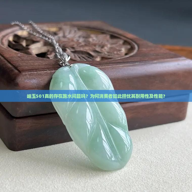 岫玉501真的存在跑水问题吗？为何消费者如此担忧其耐用性及性能？