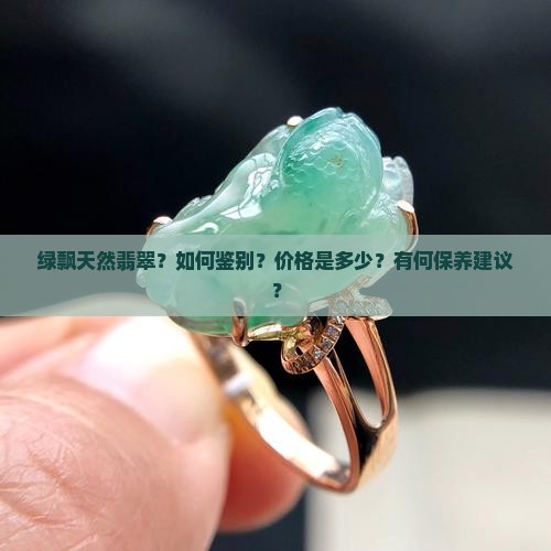 绿飘天然翡翠？如何鉴别？价格是多少？有何保养建议？
