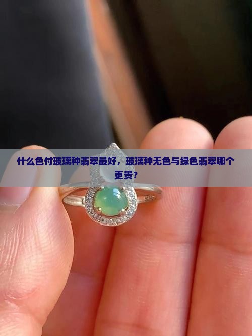 什么色付玻璃种翡翠最好，玻璃种无色与绿色翡翠哪个更贵？