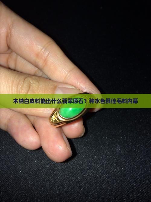 木纳白皮料能出什么翡翠原石？种水色俱佳毛料内幕