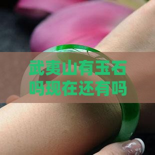 武夷山有玉石吗现在还有吗在哪里及开放情况
