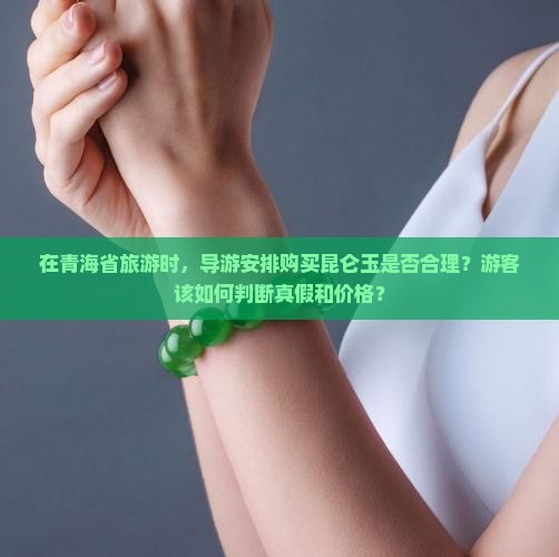在青海省旅游时，导游安排购买昆仑玉是否合理？游客该如何判断真假和价格？