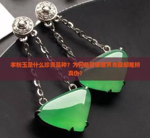 孝粉玉是什么珍贵品种？为何备受收藏界青睐却难辨真伪？