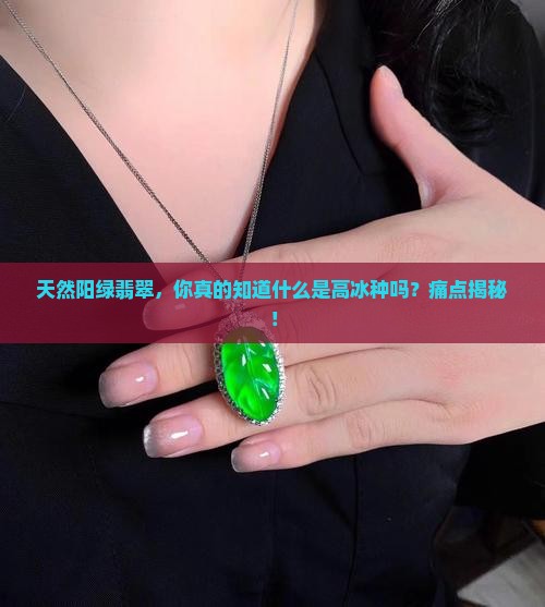 天然阳绿翡翠，你真的知道什么是高冰种吗？痛点揭秘！