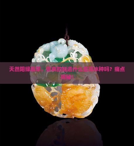 天然阳绿翡翠，你真的知道什么是高冰种吗？痛点揭秘！