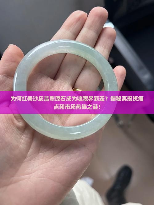 为何红梅沙皮翡翠原石成为收藏界新宠？揭秘其投资痛点和市场热捧之谜！