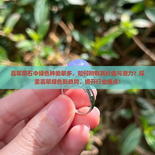 翡翠原石中绿色种类繁多，如何辨别其价值与潜力？探索翡翠绿色新趋势，揭开行业痛点！