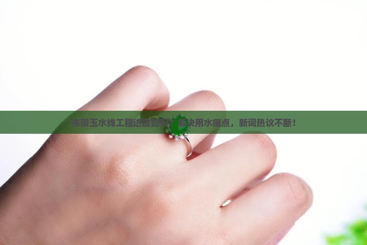 东陵玉水线工程进度如何？解决用水痛点，新词热议不断！