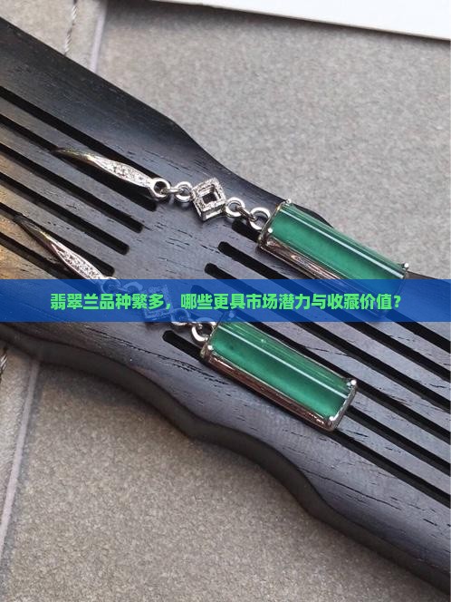 翡翠兰品种繁多，哪些更具市场潜力与收藏价值？