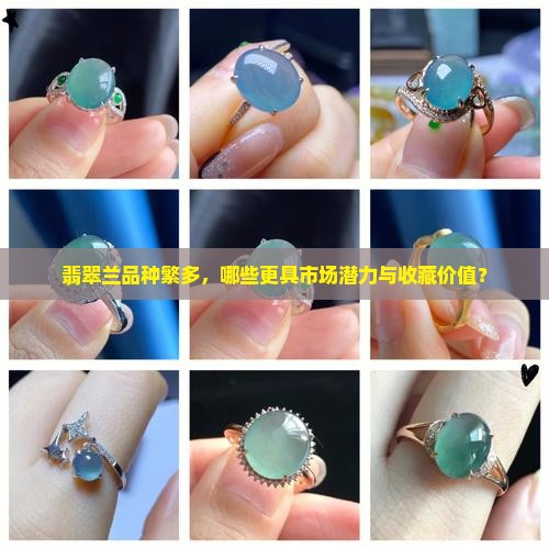 翡翠兰品种繁多，哪些更具市场潜力与收藏价值？