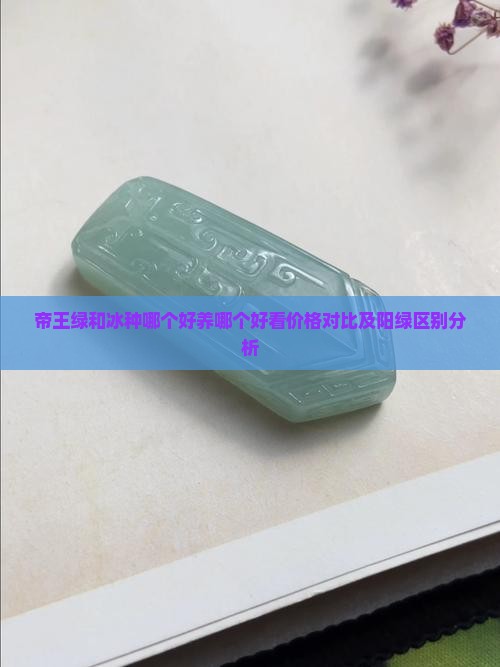 帝王绿和冰种哪个好养哪个好看价格对比及阳绿区别分析
