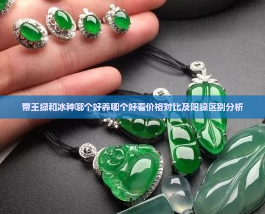帝王绿和冰种哪个好养哪个好看价格对比及阳绿区别分析