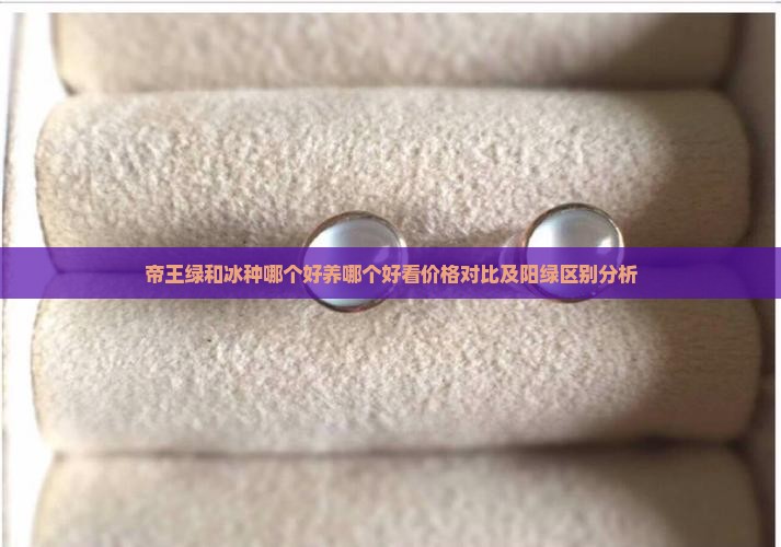 帝王绿和冰种哪个好养哪个好看价格对比及阳绿区别分析