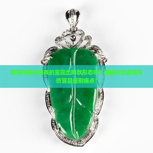翡翠内部结构真的呈现出网状形态吗？揭秘天然翡翠与仿冒品鉴别痛点！