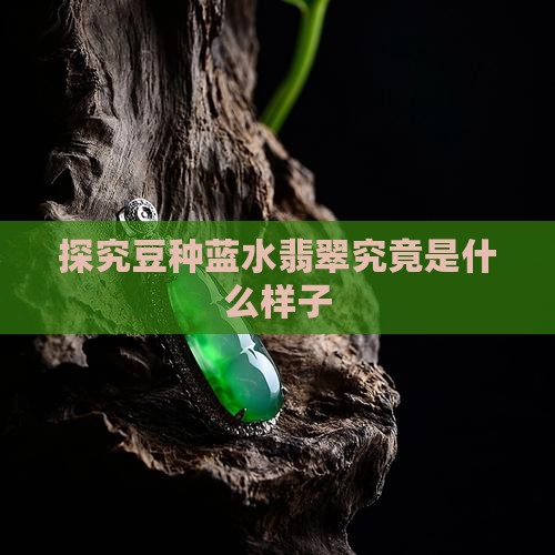 探究豆种蓝水翡翠究竟是什么样子
