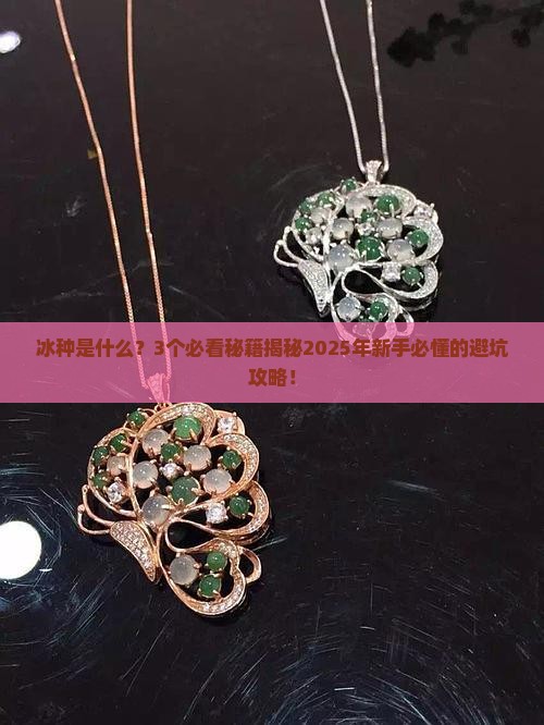 对冰种的定义是什么
