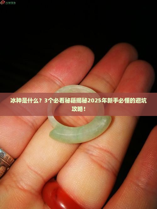 对冰种的定义是什么