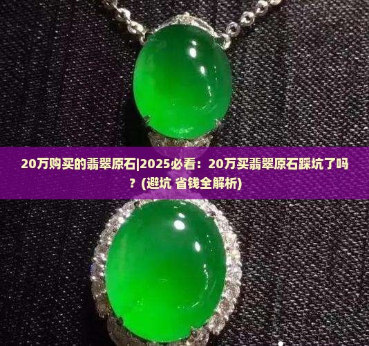 20万购买的翡翠原石