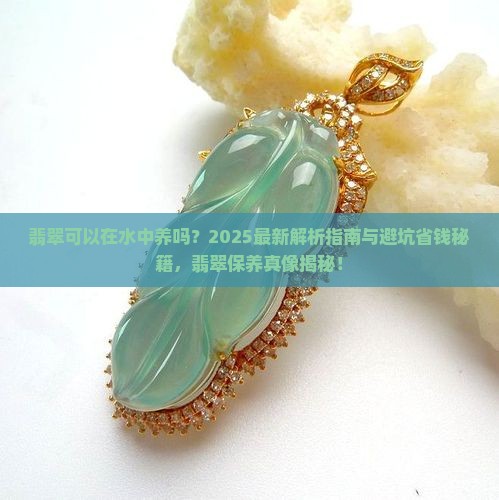 翡翠可以在水中养吗
