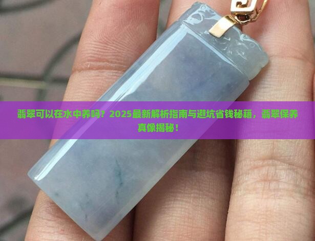 翡翠可以在水中养吗