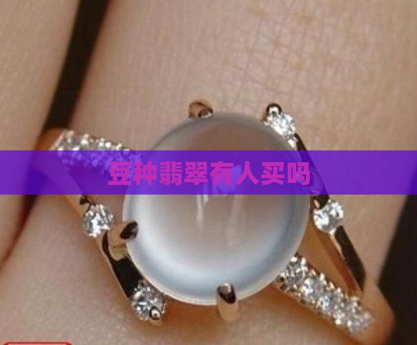 翡翠豆种有人买吗